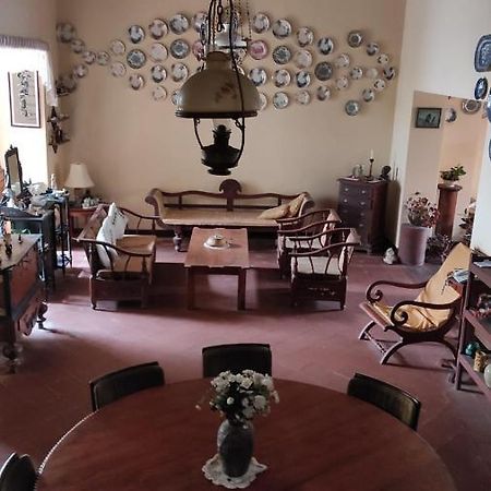 Beatrice House Galle Fort - Homestay Kültér fotó